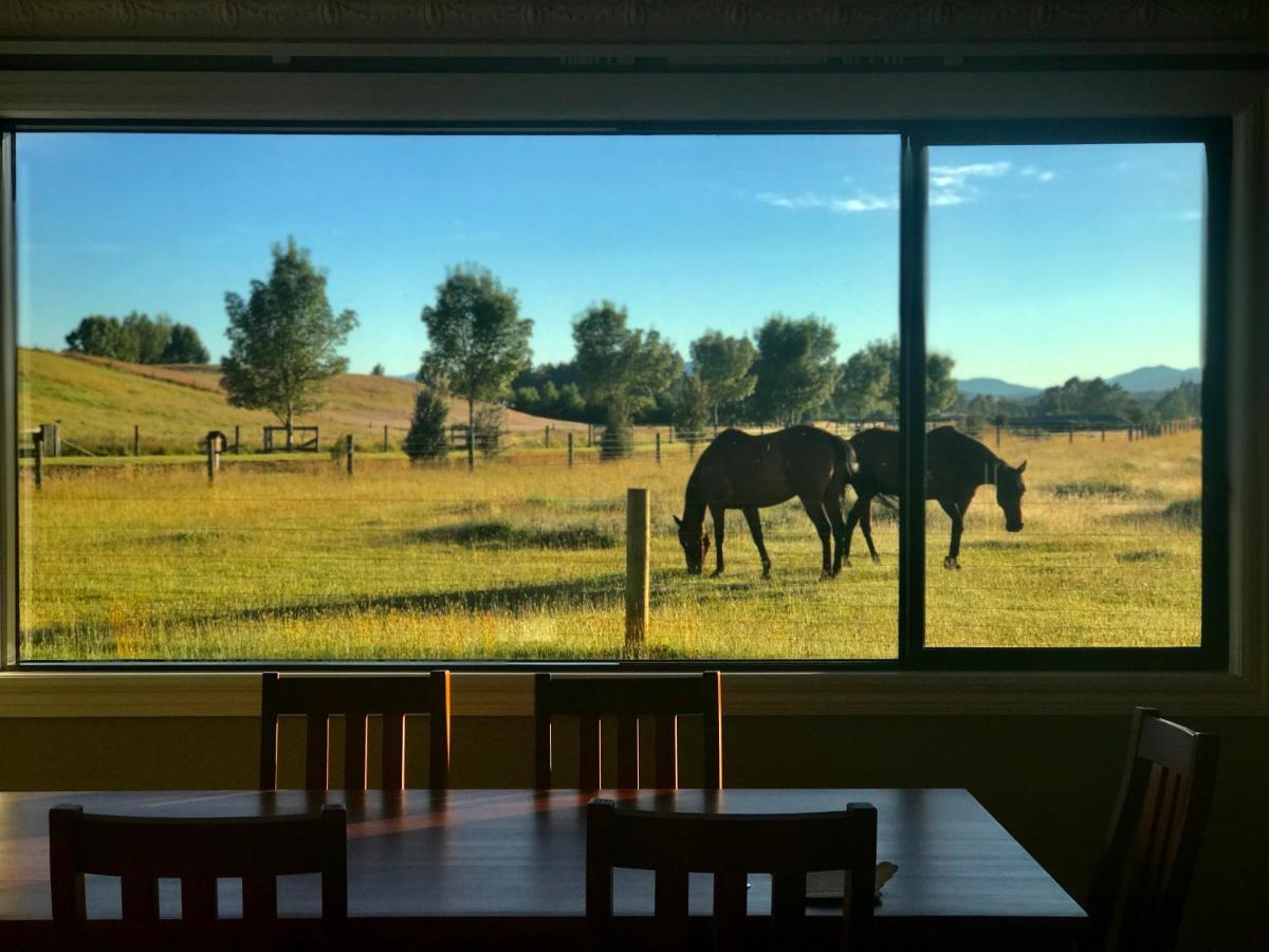 Kepler Oaks Chalet Te Anau Exterior photo